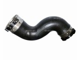 NRF 166045 Furtun ear supraalimentare