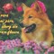 bnk cp Felicitare - Vine vara bine-mi pare , /O sa alerg din floare-n floare - catel