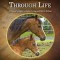 Horsemanship Through Life: A Trainer&#039;s Guide to Better Living and Better Riding
