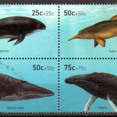 ARGENTINA 2001, Fauna marina, serie neuzata, MNH