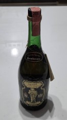 Brandy Gambarota anii 70