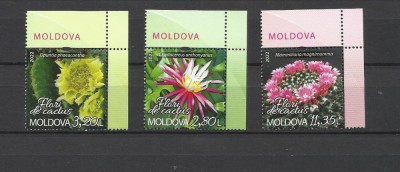 MOLDOVA 2022 CACTUSI foto