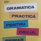 GRAMATICA PRACTICA PENTRU CICLUL PRIMAR-MADALINA BOGDAN-289683