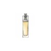 Christian Dior Addict (2014) EDT 100 ml