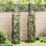 Arcada Gradina Metal Verde Inchis 38x190cm 2 Buc VidaXL Suport Plante Cataratoare Decorativa