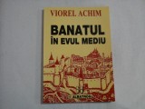 BANATUL IN EVUL MEDIU - VIOREL ACHIM