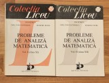 Probleme Analiza Matematica Ion Petrica, 2 Vol. - Culegere Exercitii Matematica Petrion 1993