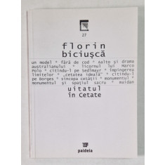 UITATUL IN CETATE de FLORIN BICIUSCA , 2004