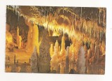 RF110 - Carte Postala - Pestera Ursilor. Chiscau - Bihor, necirculata