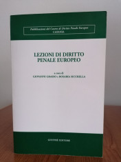 G. Grasso / R. Sicurella, Lec?ii de drept penal european (in limba italiana) foto