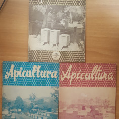 REVISTA APICULTURA 1957/ NR. 5, 1, 10