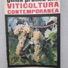 Viticultura - Guida pratica alla viticoltura contemporanea Edagricole