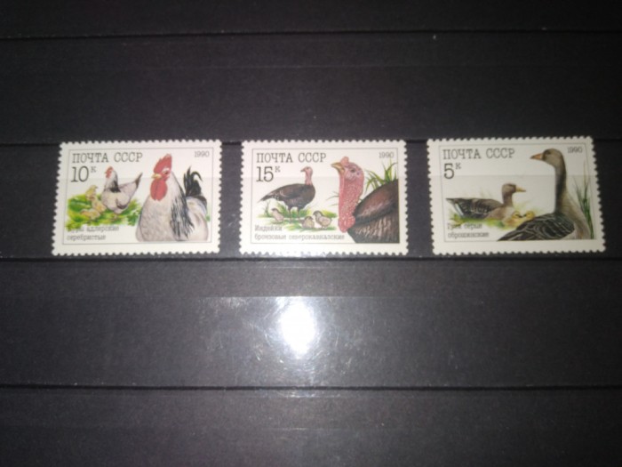 TIMBRE URSS PASARI DE CURTE 1990