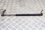 Amortizor capota st&acirc;nga față TESLA MODEL S 2016 OEM: 1062634-00-A 13947176