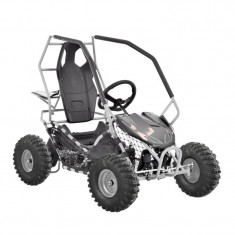 Buggy electric HECHT54899SILVER, 500W