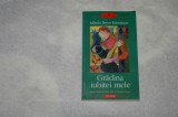 Gradina iubitei mele - Alfredo Bryce Echenique - 2004