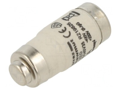Siguranță Industrială gG 35A 400VAC 250VDC D02 foto
