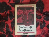 n8 Pericle Martinescu - Adolescentii de la Brasov