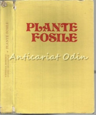 Plante Fosile - Iustinian Petrescu, Ovidiu Dragastan foto