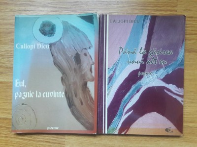 ✅ P&amp;Acirc;NĂ LA GĂSIREA UNUI ALT EU și EUL, PAZNIC LA CUVINTE de CALIOPI DICU ✅ CELE MAI BUNE CĂRȚI DE POEZIE CONTEMPORANĂ ✅ foto