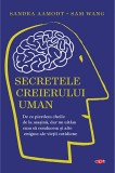 Secretele creierului uman | Sam Wang, Sandra Aamodt, Litera
