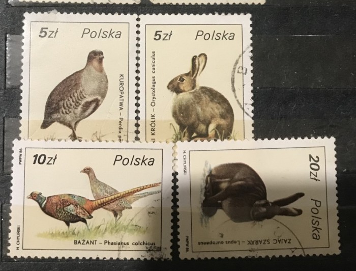 (STR3) Timbre serii Straine Polonia