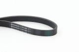 Curea transmisie cu caneluri BMW 1, 3; Fiat Albea, Brava, Bravo I, Palio Weekend; Honda Civic VII, Fr-V, Stream Motor 1.7, lungime 986 mm, OE