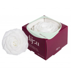Trandafir ALB Natural Criogenat Premium cu diametru 10cm + cutie cadou