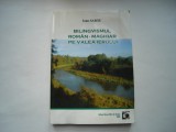 Bilingvismul roman-maghiar pe Valea Ierului - Ioan Sabau