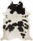 Foto  - 1