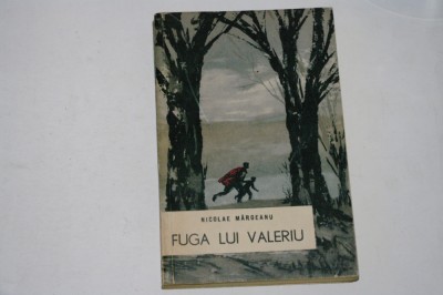 Fuga lui Valeriu - Nicolae Margeanu foto
