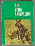 Hugo si Jane van Lawick-Goodall - Din viata animalelor, 1975