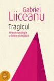 Tragicul (ebook) - Gabriel Liiceanu - Editura LibHumanitas