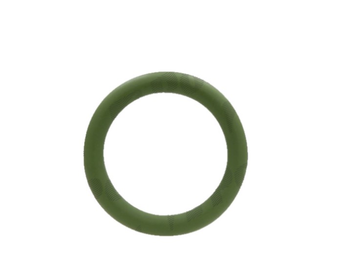 Set oring aer conditionat RapidAuto VA509170, 20 buc.