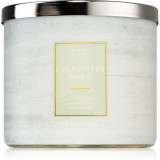Bath &amp; Body Works Eucalyptus Mint lum&acirc;nare parfumată 411 g