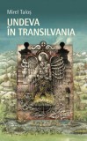 Undeva in Transilvania - Mirel Talos - Roman, Beletristica