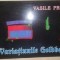 Variatiunile Goldberg- Vasile Proca