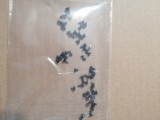 set suruburi surub Dell Latitude E5250