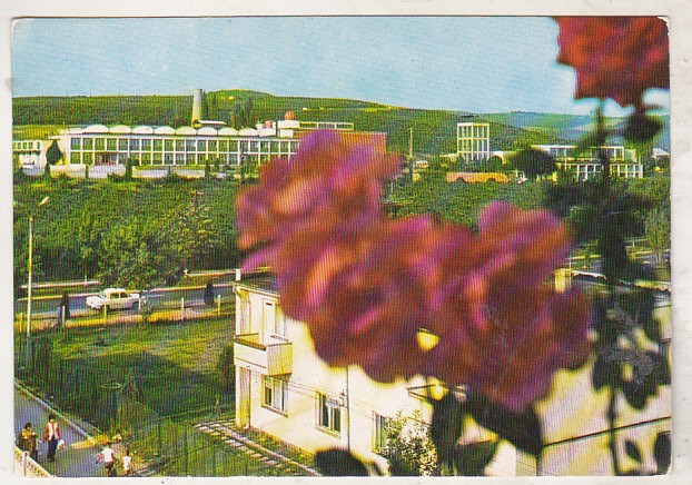 bnk cp Valea Calugaresca - Institutul de cercetari viticultura si vinificatie