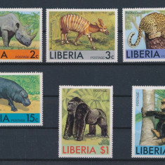 248-LIBERIA-Animale din Africa-hipopotam-pantera-Serie de 6 timbre nestamp MNH