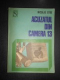 Nicolae Stoe - Acuzatul din camera 13