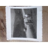 Fotografii Tematica Masini