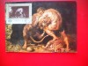 HOPCT MAXIMA ROMANIA NR 1126 HERCULE SI LEUL / P P RUBENS -PICTURA