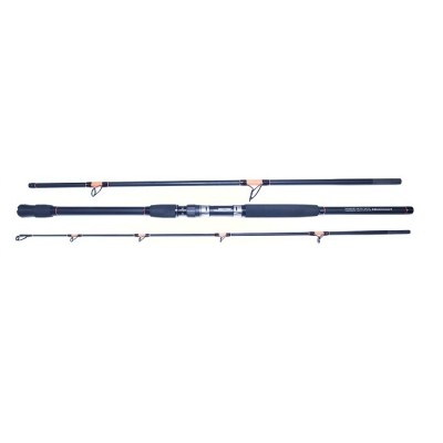 LANSETA PRO FL STRATEGIST CATFISH 2.50M PUTERE 500G 3SEGMENTE foto