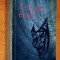 A neveto ember - Victor Hugo