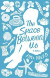 The Space Between Us - Zoya Pirzad