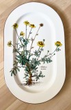 Platou - Villeroy and Boch - Botanica - 33 cm