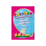 Animale domestice pui. Desene mari pentru cei mici rom&acirc;nă-engleză - Paperback - Eurobookids