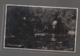 CPIB 20910 CARTE POSTALA - VALVOV,, LEBEDE PE LAC, NECIRCULATA