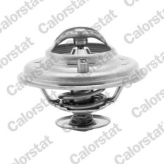 CALORSTAT by Vernet TH5973.80J termostat,lichid racire